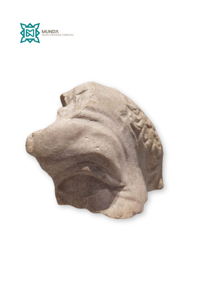 immagine per Frammento di ritratto dell’imperatore Vespasiano